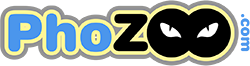 Phozoo.com Web Consultant